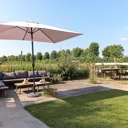 Bed Met Paard Apartment Bergen op Zoom Ngoại thất bức ảnh